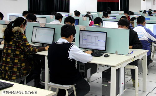 計(jì)算機(jī)技術(shù)開(kāi)發(fā) 理科男生的黃金賽道，就業(yè)率高前景廣闊