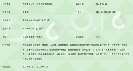 上海頂網(wǎng)移動網(wǎng)絡(luò)信息技術(shù)服務(wù) 數(shù)字化浪潮中的技術(shù)先鋒